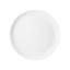 Porcelain Dinner Plate-106869474