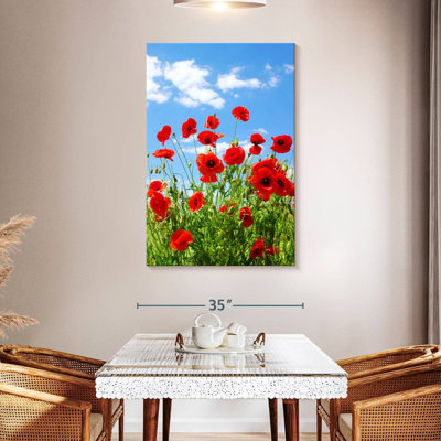 Coquelicots rouges Harnek