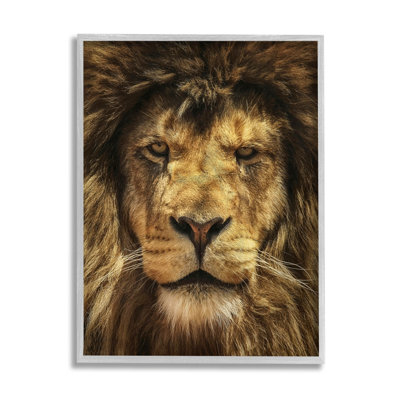 " Close Up Lion Portrait " by Carrie Ann Grippo-Pike