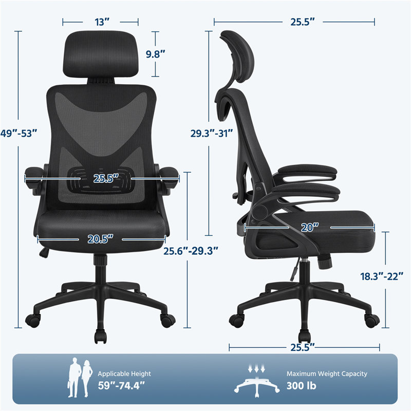 Joyti Ergonomic Task Chair with Headrest and Flip-up Armrest Lumbar, Black, Black