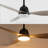 Clarra 52'' Ceiling Fan with LED Lights-1890635367