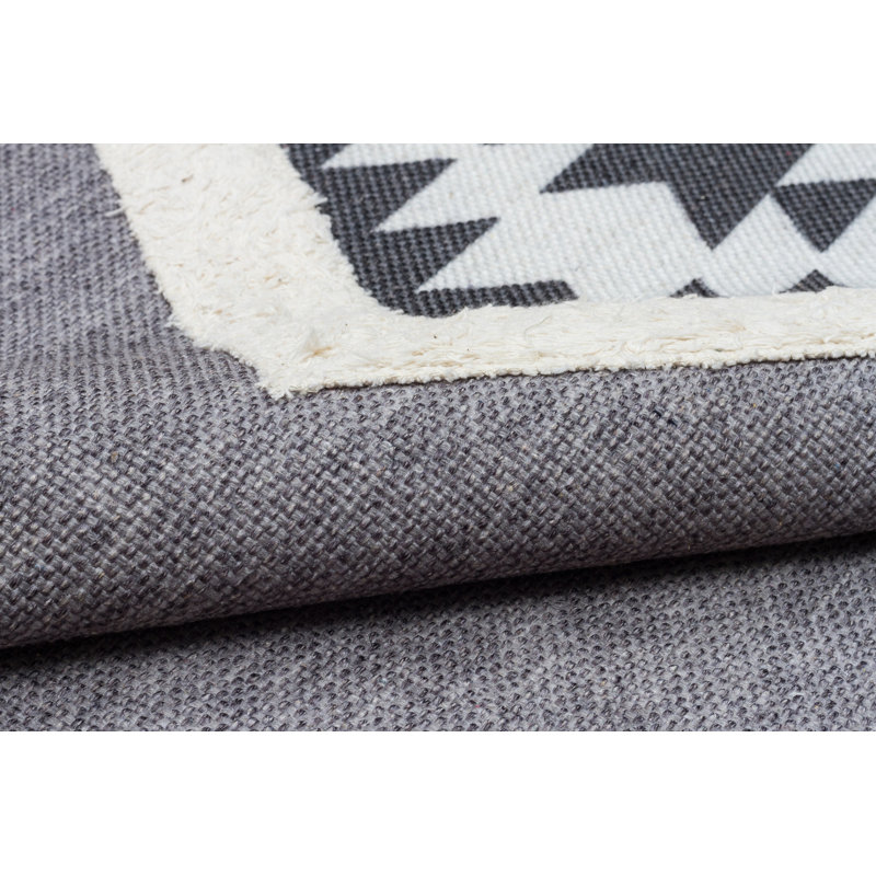Tapis intérieur / extérieur en coton Iyleen, Rectangle 3 pi 11 po x 5 pi 11 po