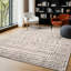 Oriental Area Rug-2119031432