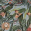 Tigerlily Lush Wallpaper-1827731966