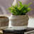 Delancy Pot Planter-89186336
