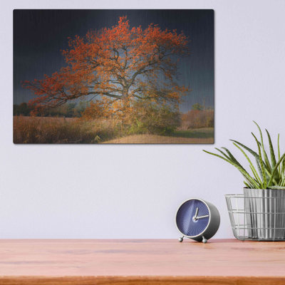 " Melancholy Tree " by Philippe Sainte