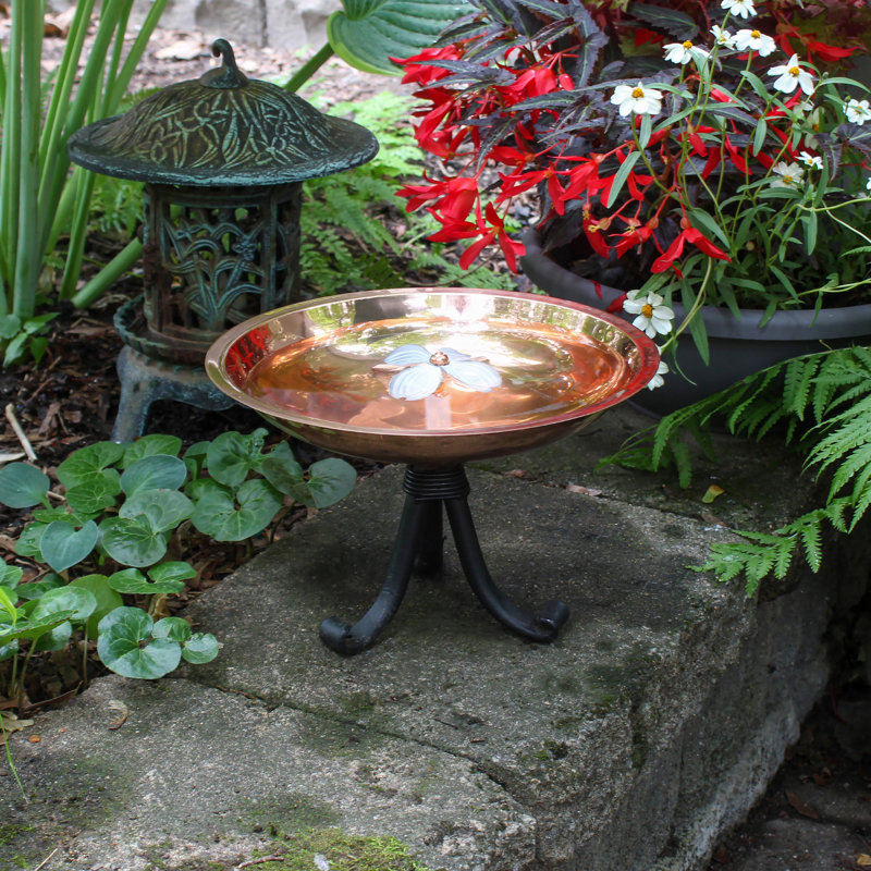 Bain d'oiseaux avec trépied Dogwood