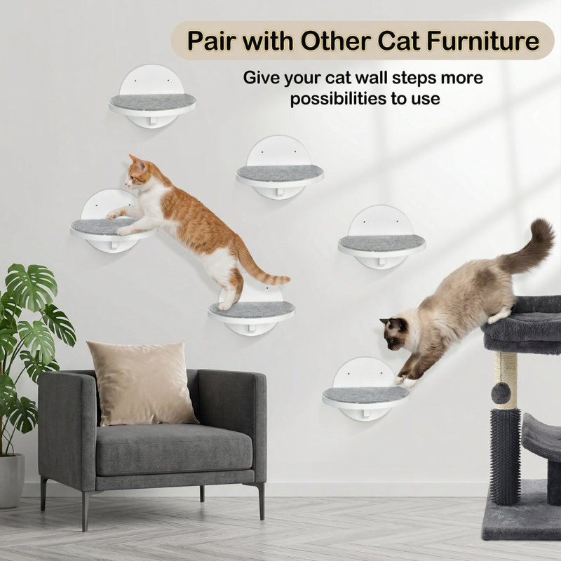 Ensemble de meubles muraux en bois pour chat 6 pièces, comprenant un grattoir, une échelle flottante robuste, un système d'escalade mural pour dormir, jouer, grimper