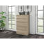 Tonya 5 Drawer 70cm Chest of Drawers-16556180