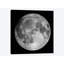 «Full Moon» par Roth Ritter, impression sur toile tendue-31985124-73798152-73798153