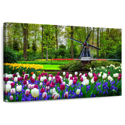 Lilie superbe moulin à vent hollandais