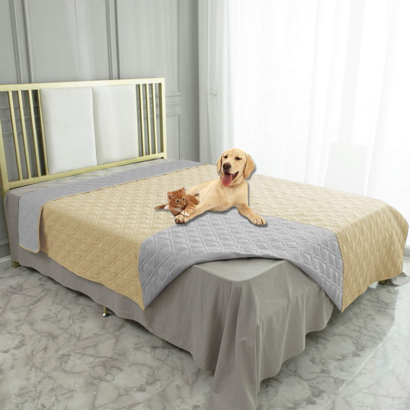 Couverture imperméable pour lit de chien pour canapé réversible, Gris/beige, L 52 po x L 82 po