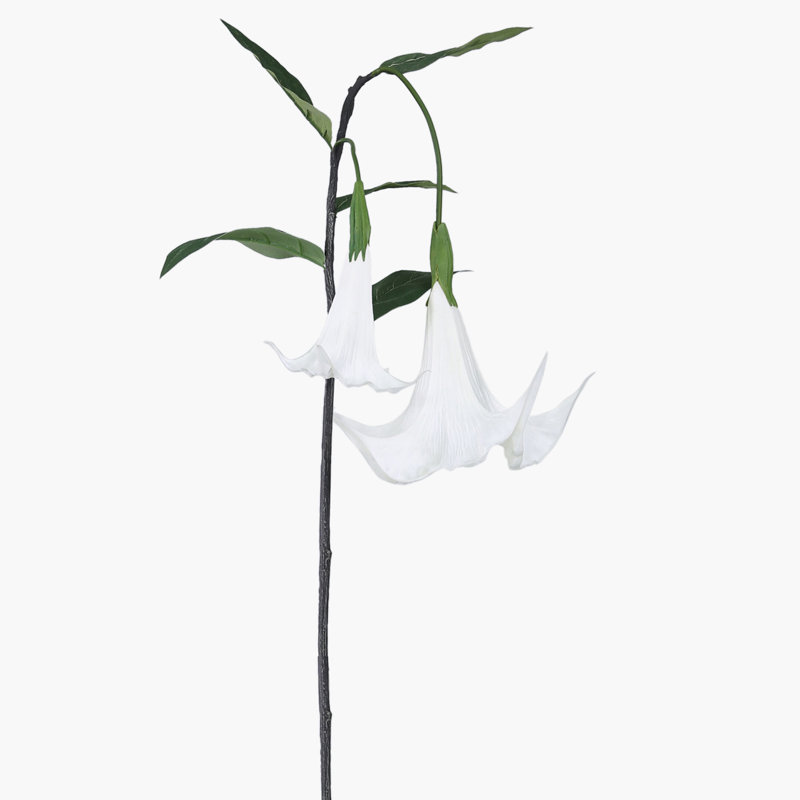 Angels Trumpet Arrangement, White