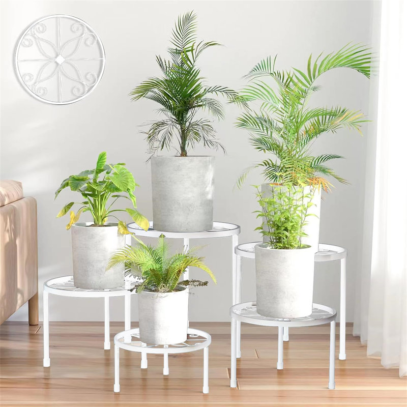 Raequel Plant Stand