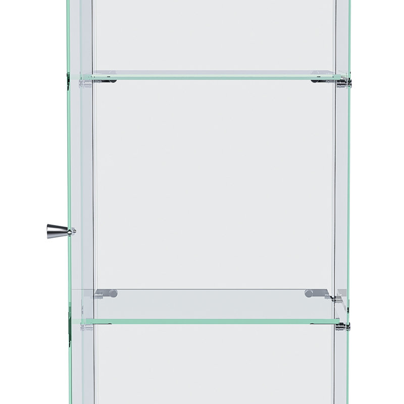Vitrine en verre de qualité supérieure à 4 niveaux avec 5 modes DEL dynamiques, bibliothèque en verre trempé à une porte pour objets de collection et décor, vitrine sur pied pour la maison et le bureau, assemblage facile