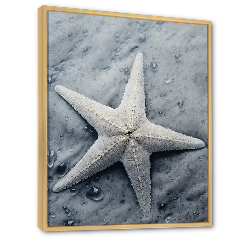 Gris minimaliste étoile de mer côtière, art mural étoile de mer, Cadre flottant brun, H 40 po x l 30 po x P 1,5 po