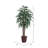 72'' Faux Plant in Wicker/Rattan Pot