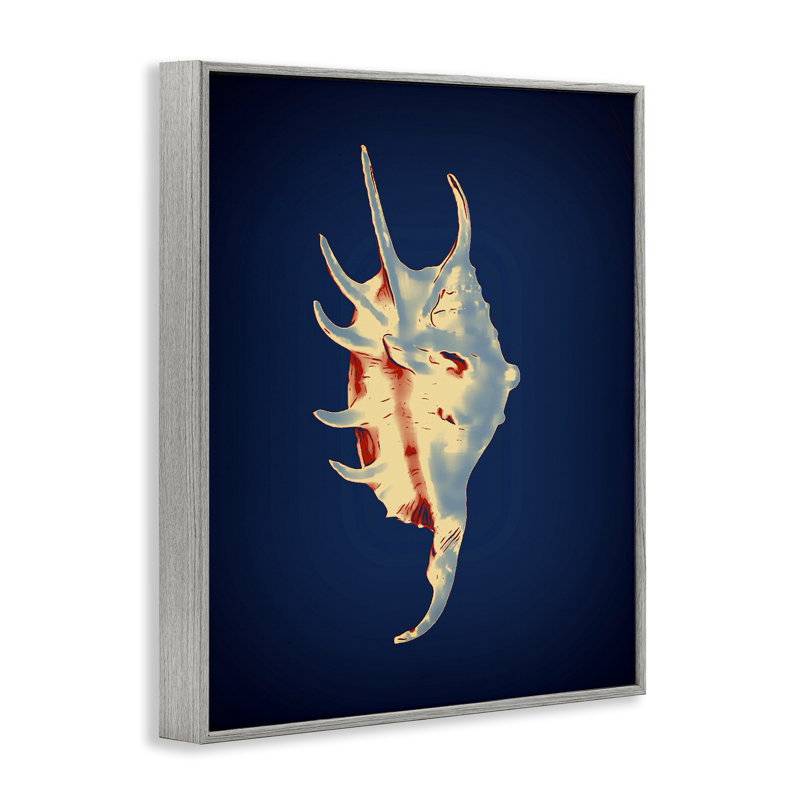  Spider Conch on Blue White Framed Giclee Art by Graffi*tee Studios, Estampe numérique Farmhouse, H 14 po x l 11 po