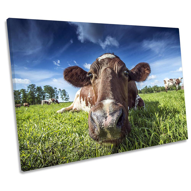 Farm Cow Field - Wrapped Canvas Print, 81.3cm H x 121.9cm W x 4cm D