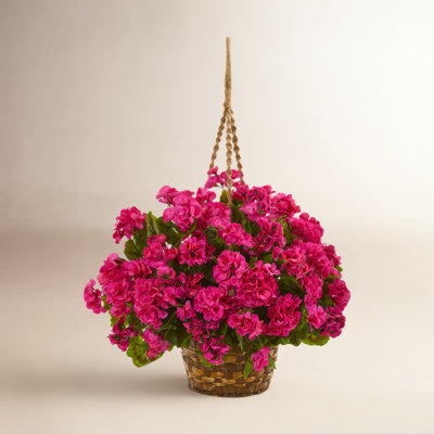UV Resistant Geranium Hanging Basket