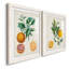 Orange de Malte - ensemble de 2 reproductions d'art-2074002768-2070024391-2070024445