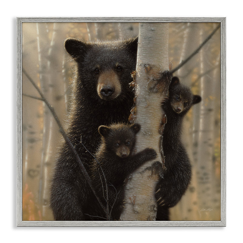 31_Ours noir et oursons tendres, forêt tendue de forêt par Collin Bogle, Estampe numérique Farmhouse