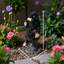 Chimpanzé et statues naines