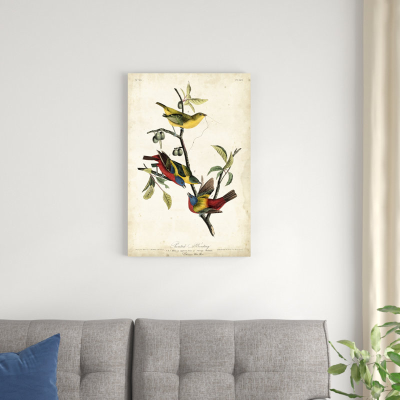 " Painted Bunting " by James Audubon Mixed Media Print, 30" H x 20" W x 1.25" D