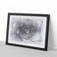 Lilac Succulent Plant in Abstract - Picture Frame Graphic Art Print-55772687-55772686