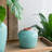 Cevennes Ceramic Table Vase-566236393