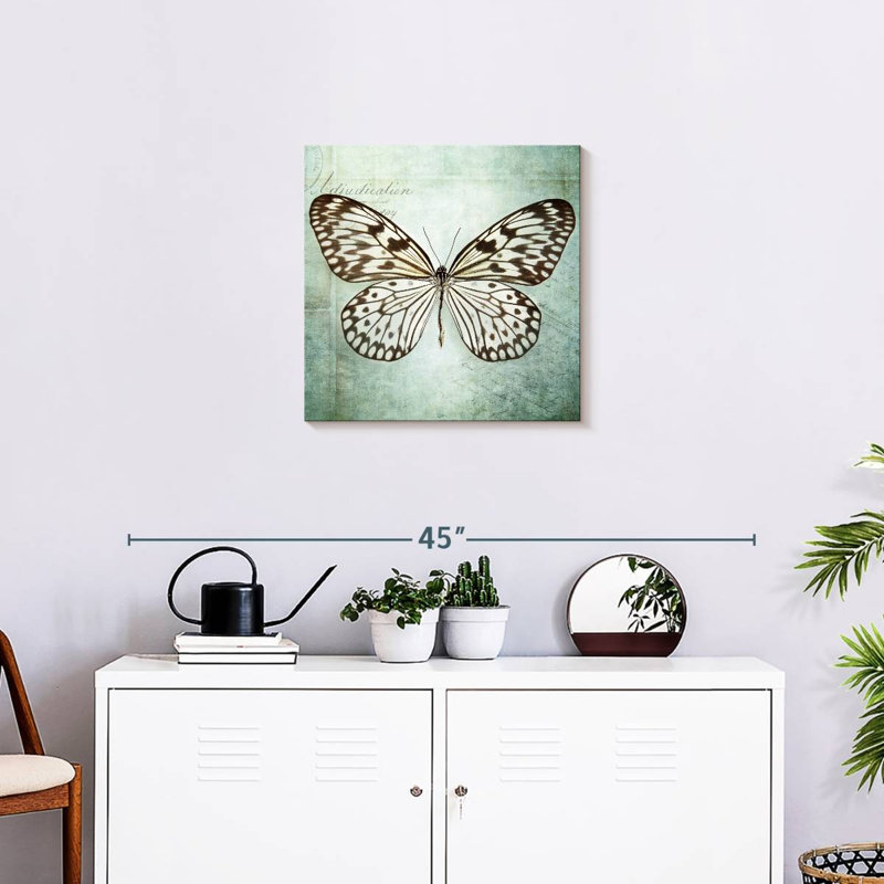 Papillon français VI, H 20 po x l 20 po