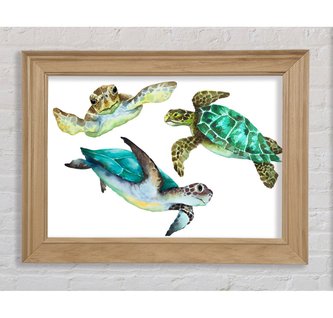 Seaturtle Love - Einzelner Bilderrahmen Kunstdrucke