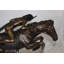 Sculpture Arria Cheyenne Remington en bronze - sculpture en cire perdue faite à la main, L 27 po x l 8,5 po x H 22 po