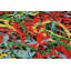 Tapis d'entrée de qualité supérieure, 3,3 x 6,6 pieds, 100% polyester, hauteur de velours de 0,3 po | Antibactérien, antidérapant, dessous lavable à la machine | Élégante impression numérique 3D, parfaite pour les vestibules et les salons-1799179054
