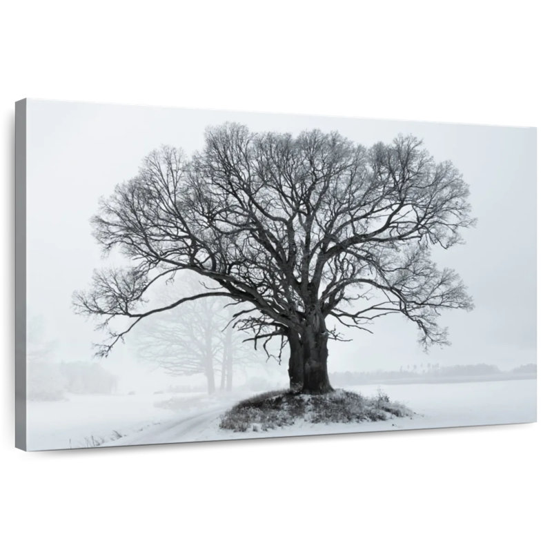 Chêne Harnek en hiver, H 26 po x l 39 po