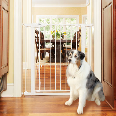 TALL HAPPY TAILS WALK THRU PETGATE