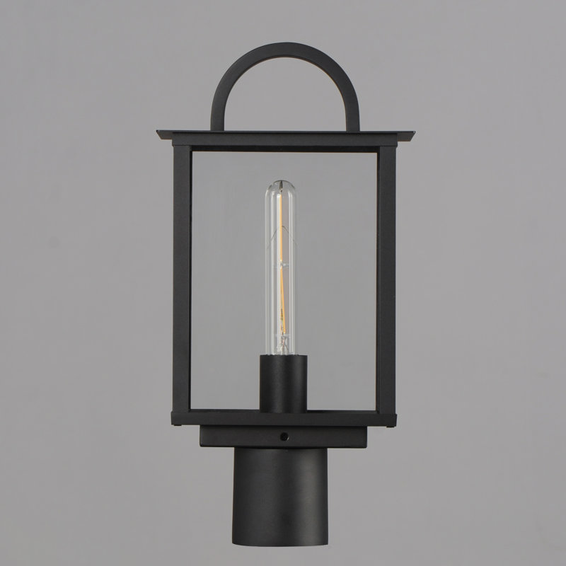 Jumelle Lantern Head