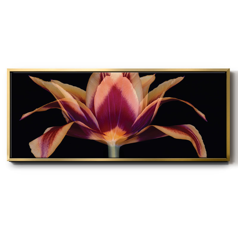 Red Tulip- Framed Canvas, 20" H x 50" W