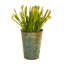 Ensemble de pot de fleurs d'intérieur / extérieur en métal 3 pièces Alterizio
