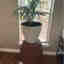Customer photo 2 of 3