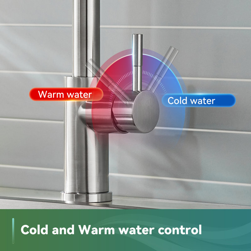 Belfry Kitchen Harwyn Kitchen Faucet