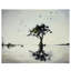 Reflective Pools II Painting by Sydney Edmunds-26774131-26774137