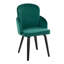 Chaise d'appoint pour salle à manger en velours vert riche avec pieds en bois massif noir et accents métalliques, ensemble de 2, L 22 po x l 22,5 po x H 34,25 po