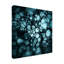 «Soap» Mesrob, reproduction de photo sur toile tendue-29763843
