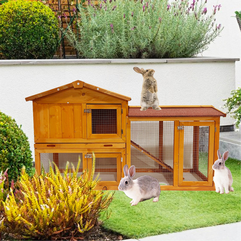 Wearable and Strong Chicken Coops for Playground