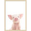 «Baby Pig» par Kathrin Pienaar, impression sur bois encadrée-401722752