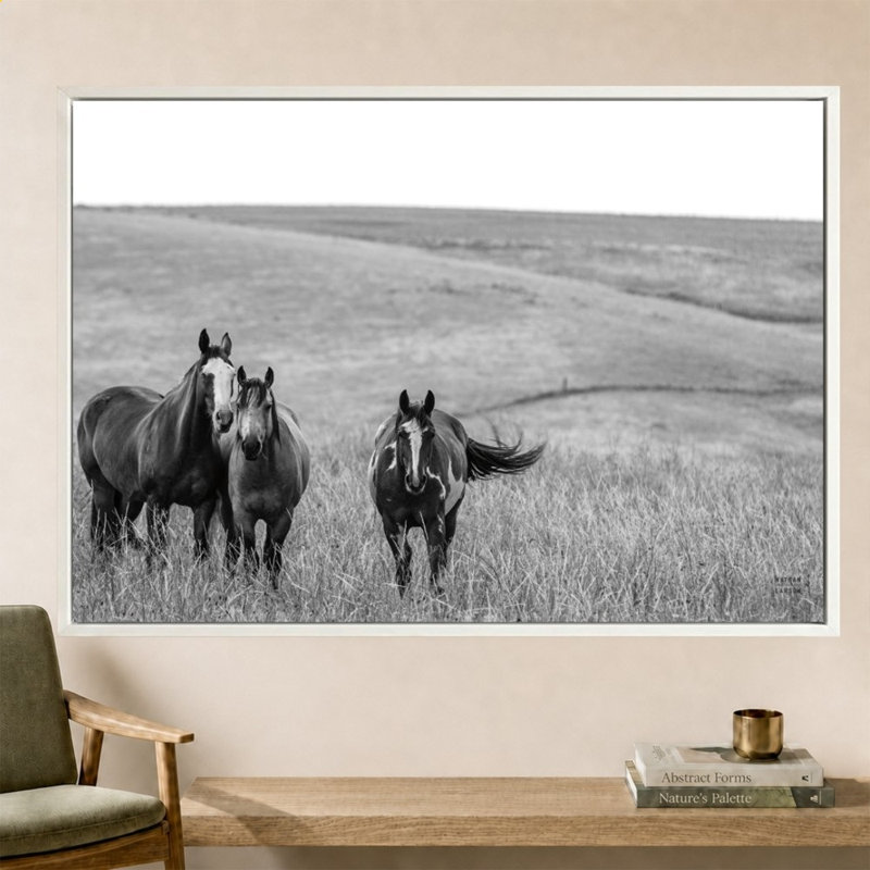 Montana Moves 2 par Nathan Larson - Impression sur toile, 60" x 40", Cadre plat flottant, Blanc