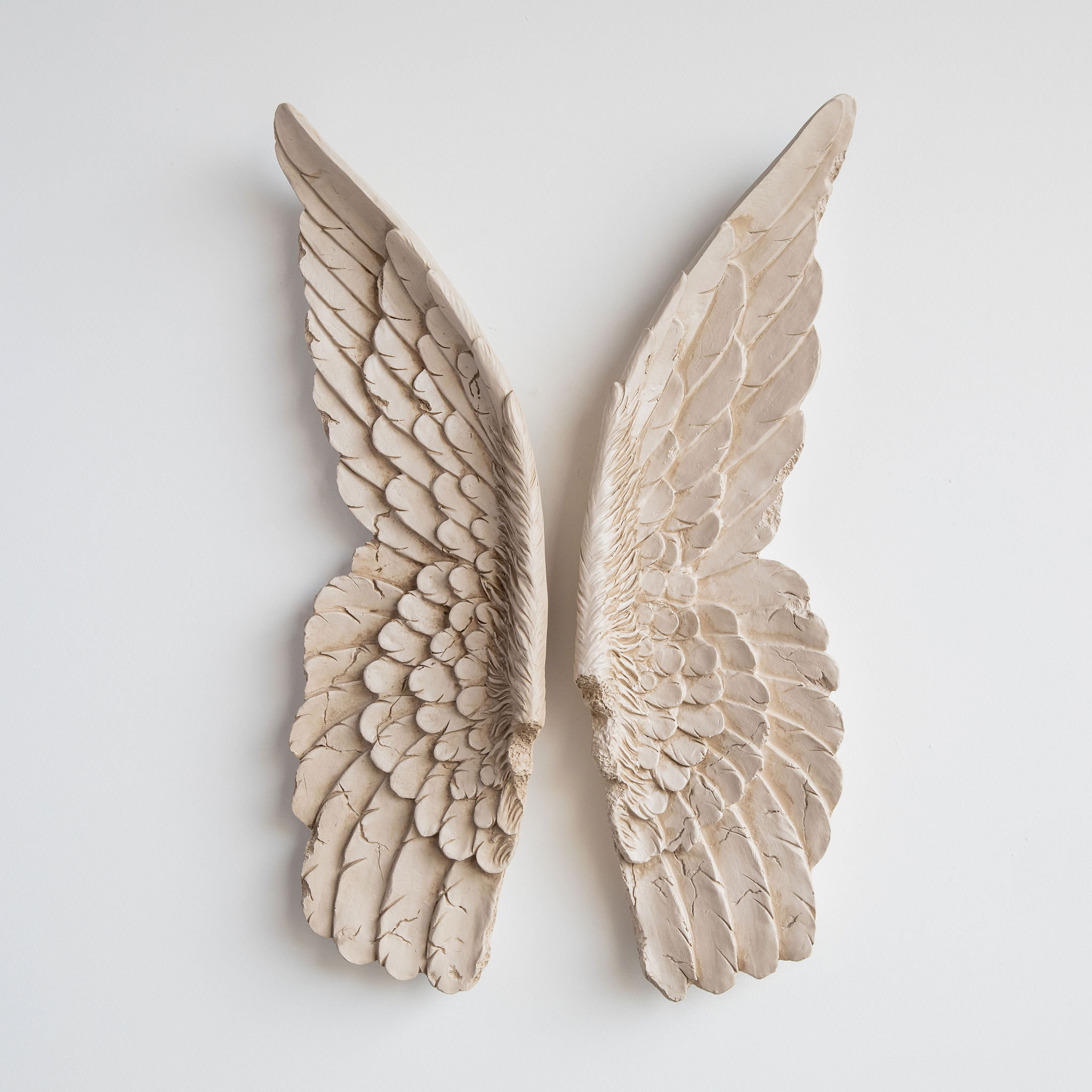 World Menagerie 2 Piece Faux Taxidermy Angel Wing Wall Décor Set & Reviews | Wayfair