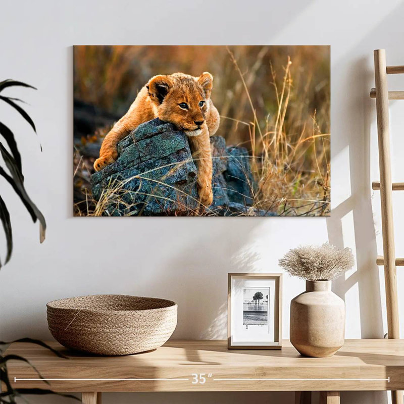 Lioneau safari Brampt, H 16 po x l 24 po