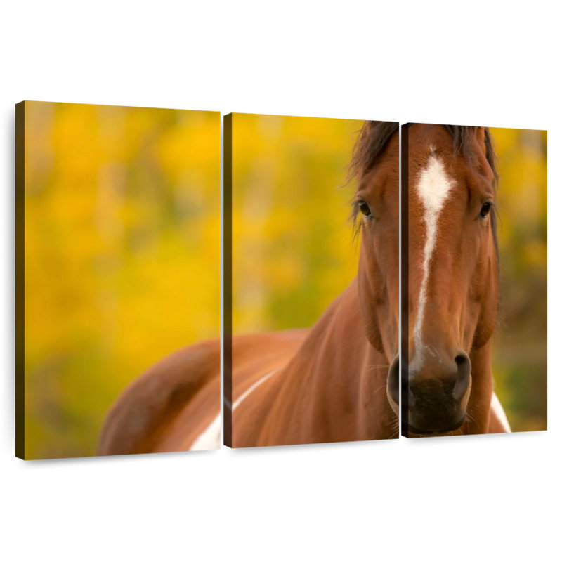 Cheval peint Brampt, H 48 po x l 74 po